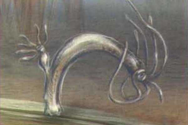 Kraken online