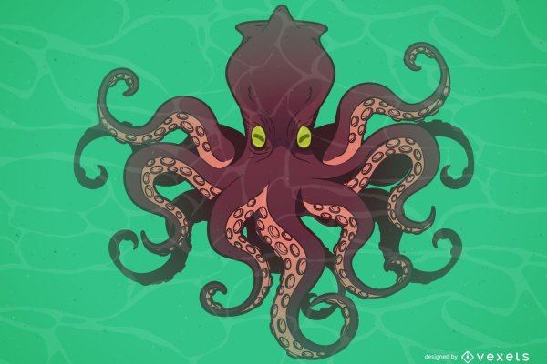 Kraken official
