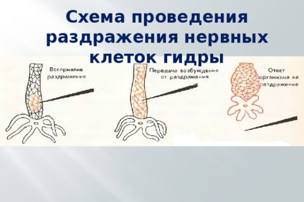 Кракен шоп что это