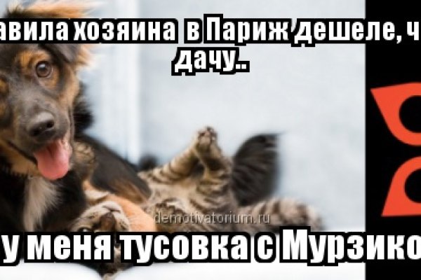 Ссылки сайтов даркнета