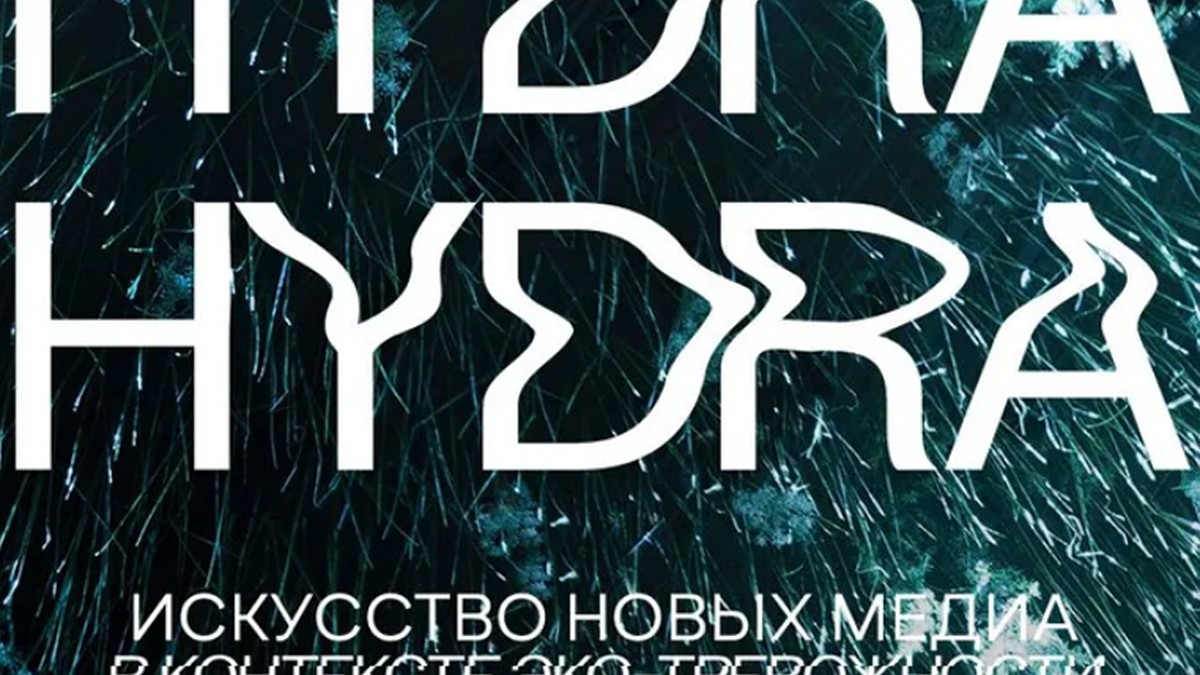 Как войти на сайт кракен