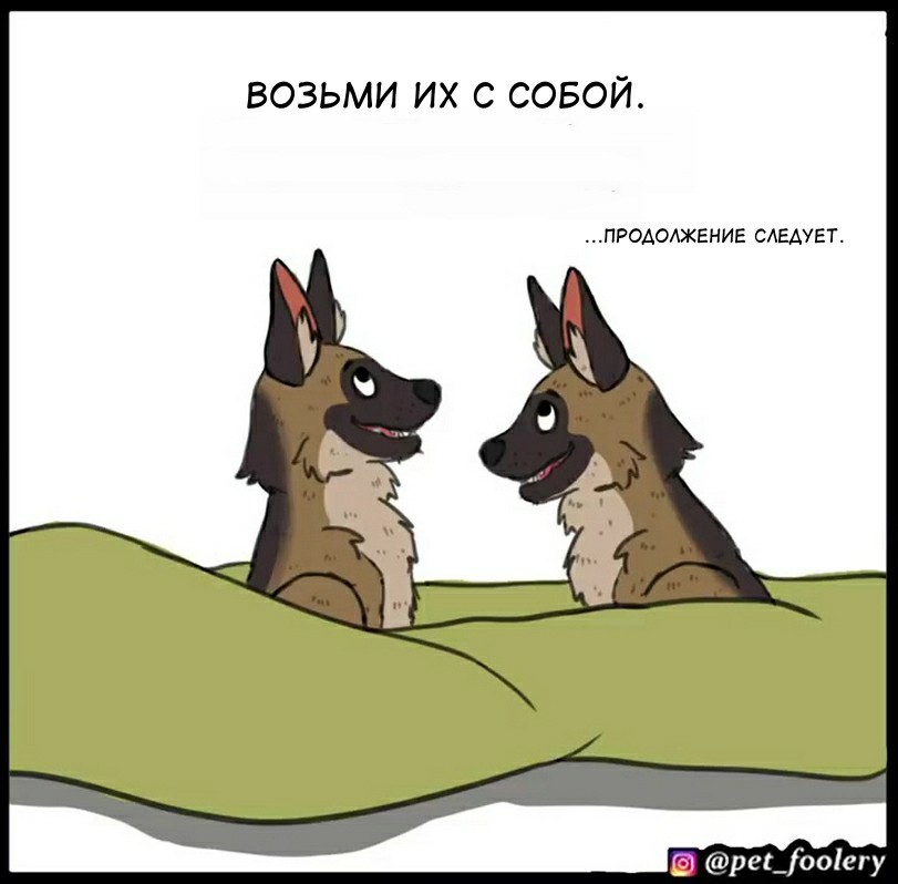 Kraken это