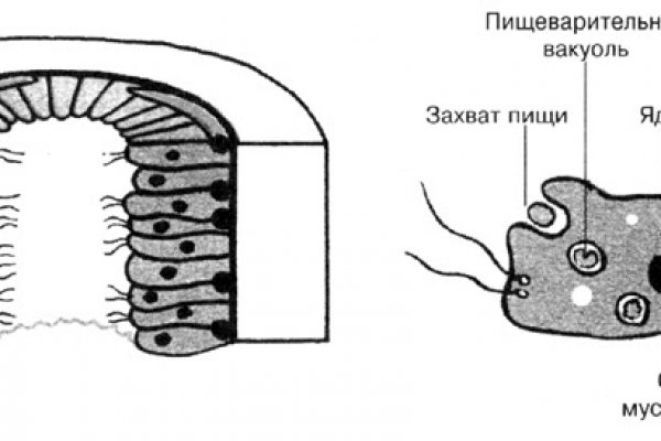 Kra42.cc