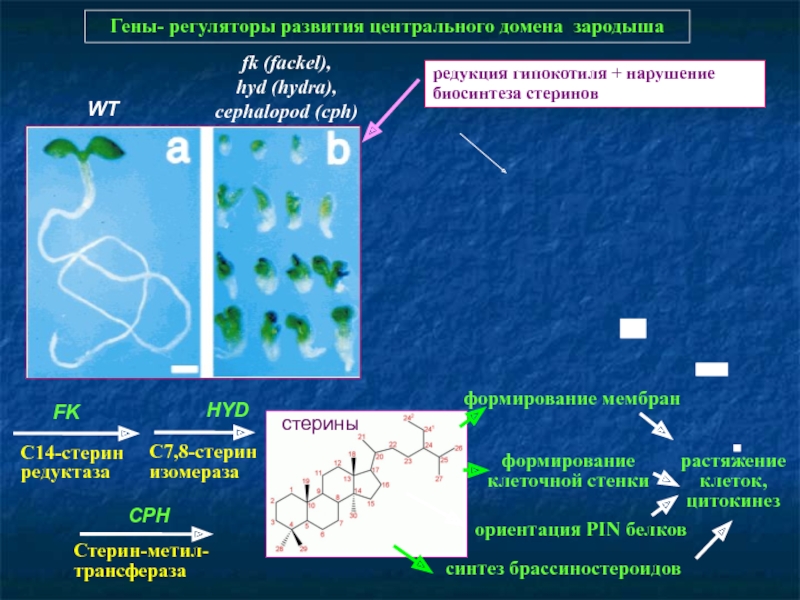 Кракен 16 at